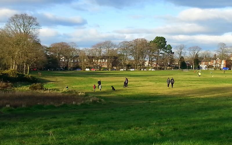 Knutsford Heath - Image 1