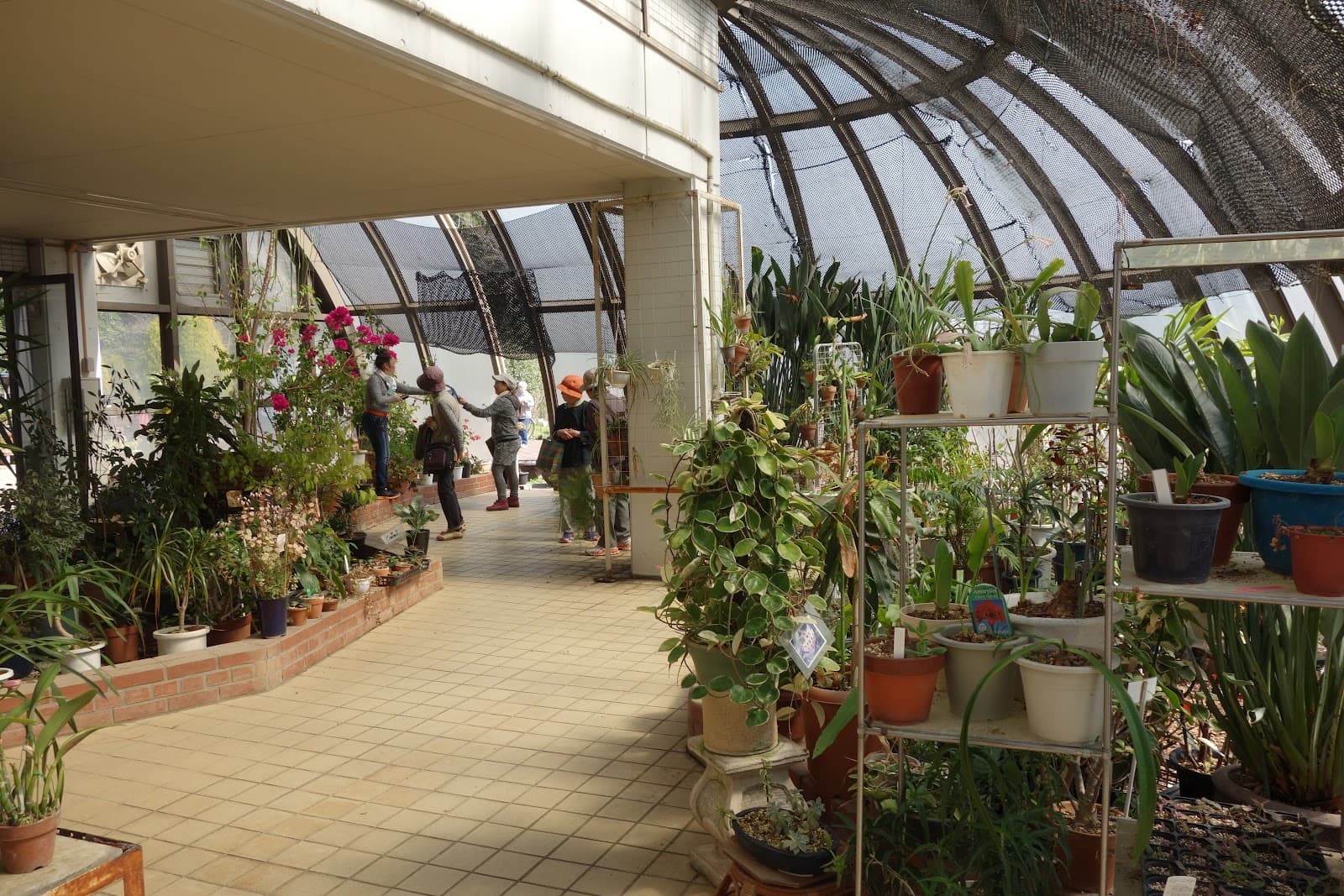 Kanamachi Water Purification Plant Hydrangea Garden - Image 1