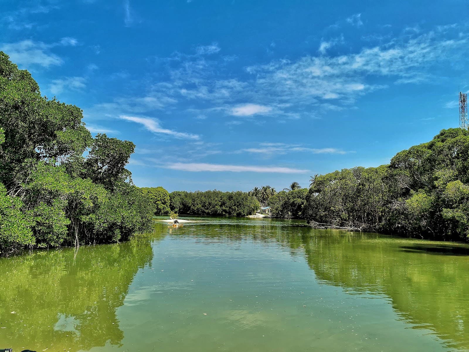 Huraa Mangrove Boardwalk - Image 1