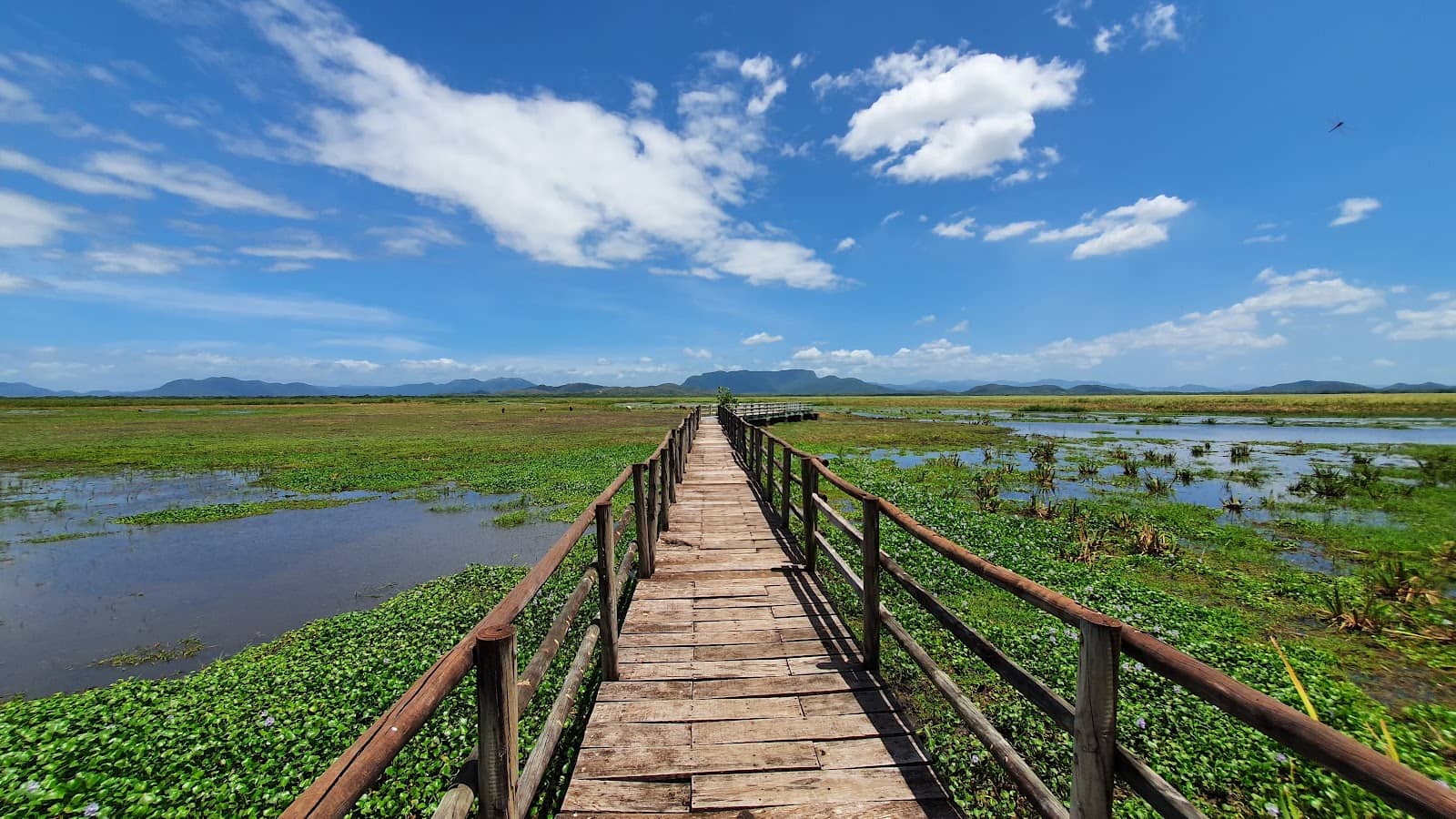 Micro-biome Exploration