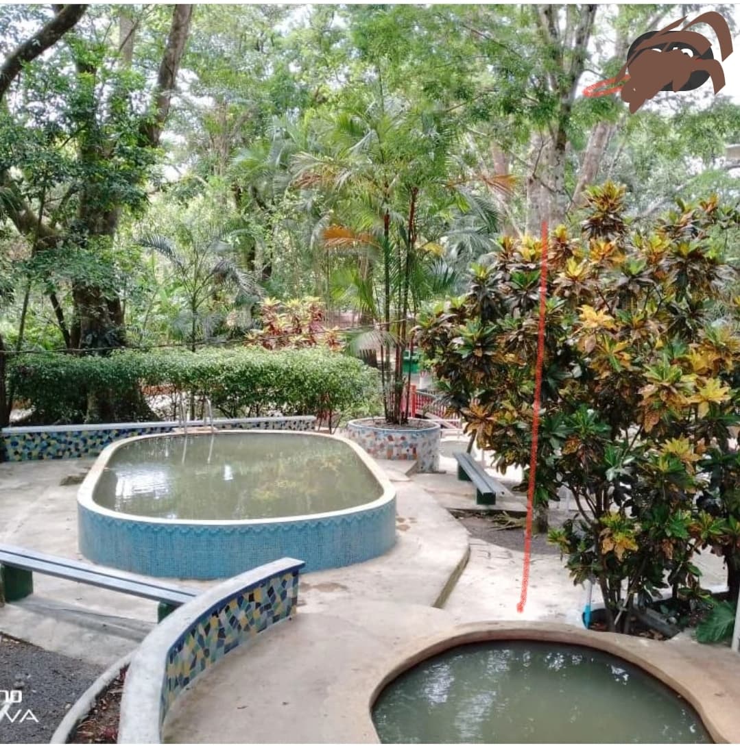 Pozos Termales El Valle de Anton - Image 1