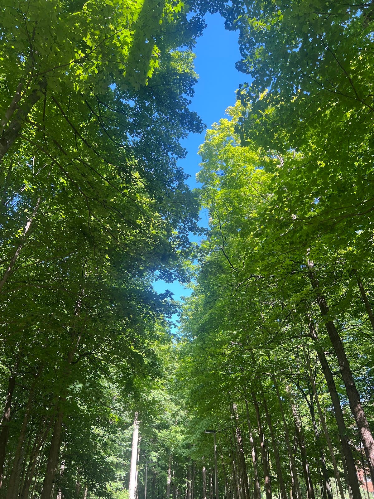Sanford Natural Area - Image 1