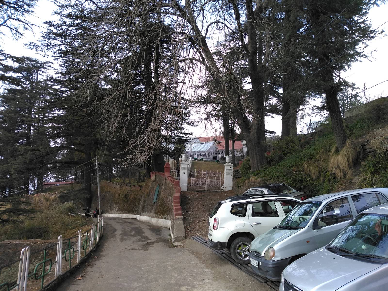 Vertical photo