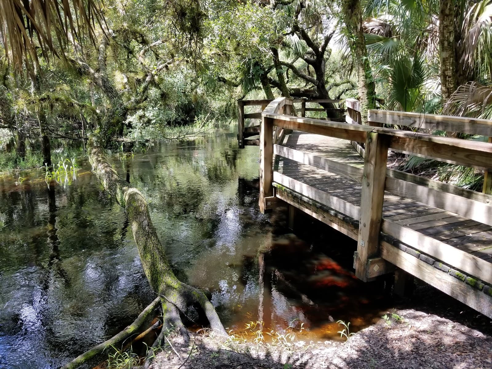 Myakkahatchee Creek Environmental Park - Image 1