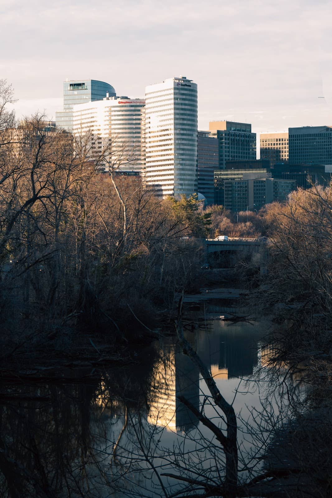 Vertical photo