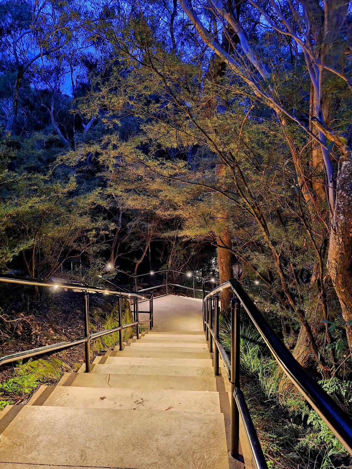 Prince Henry Cliff Walk (Leura section) - Image 1