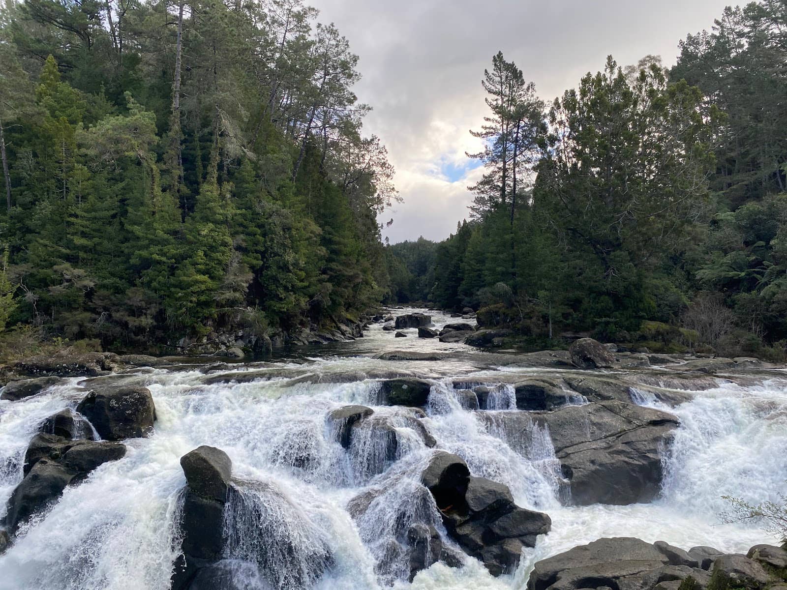Scenic Walking Tracks