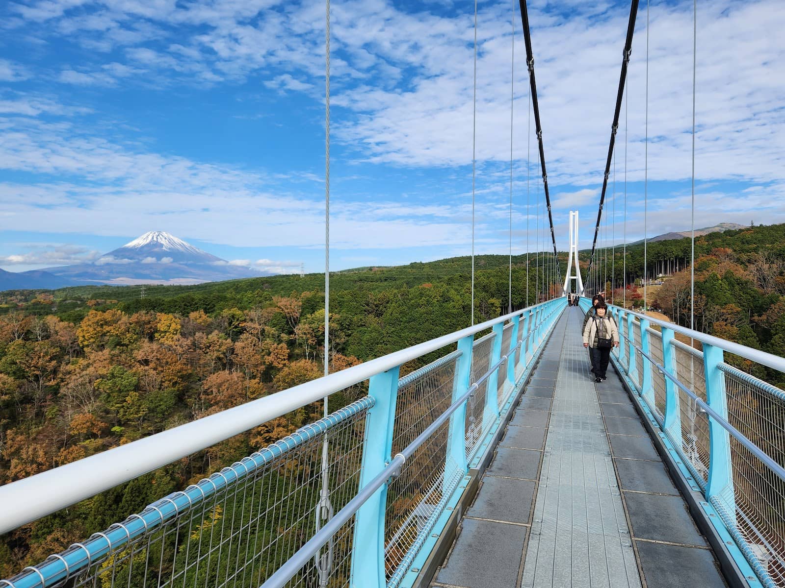 Thrilling Zipline Adventure