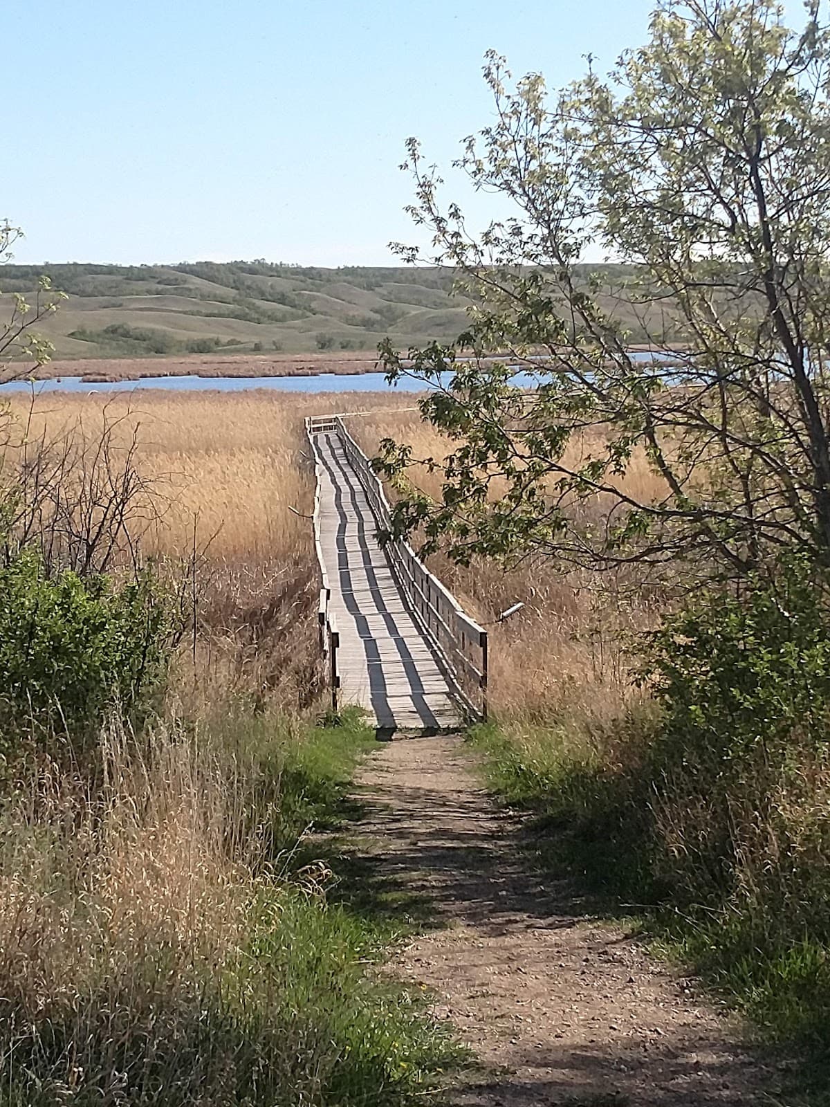 Nicolle Flats Marsh Boardwalk - Image 1