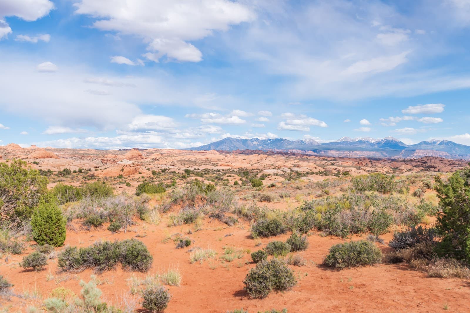 Petrified Dunes Viewpoint - Image 1