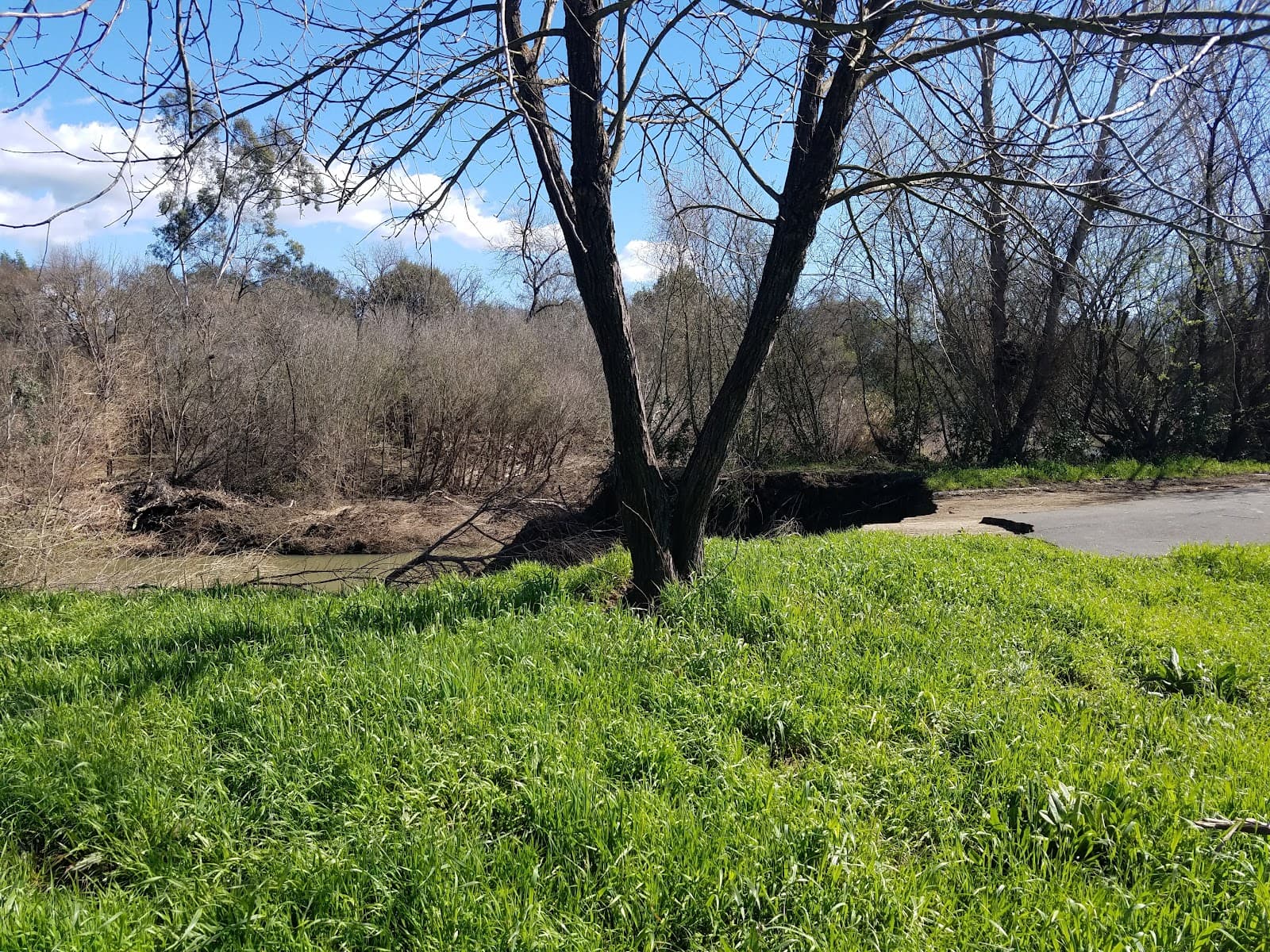 Trancas Crossing Park - Image 1