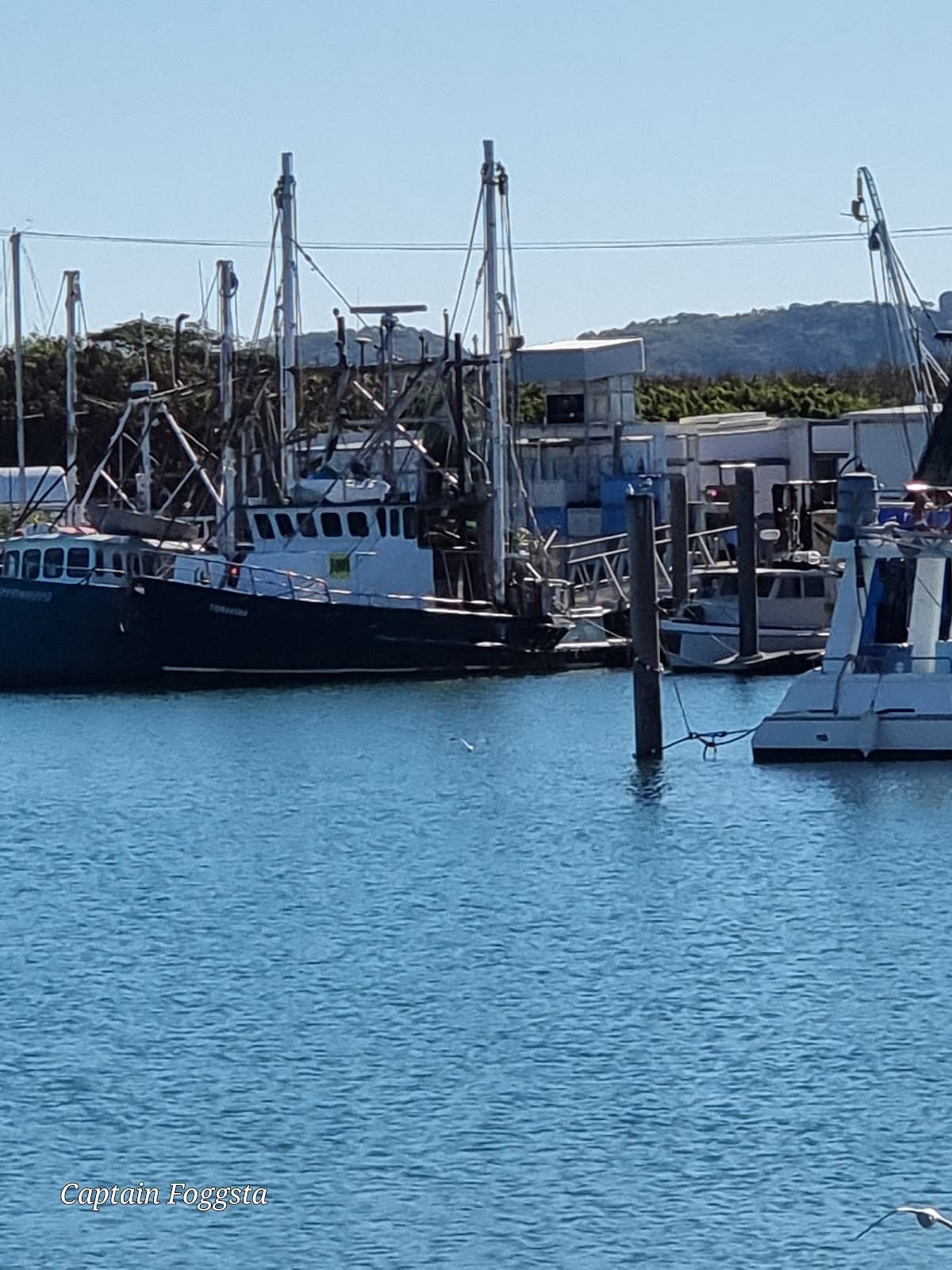 Port Denison Boat Harbour - Image 1