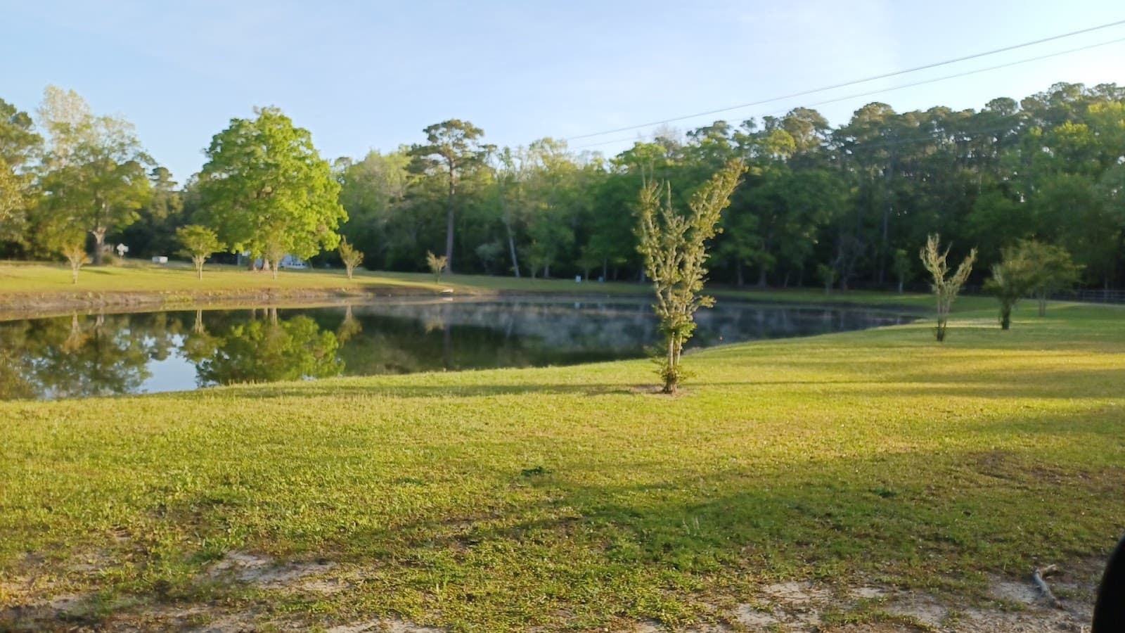 Little River Neck Road Scenic Drive - Image 1