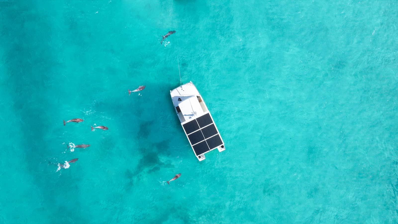 Mangrove Kayaking Adventures