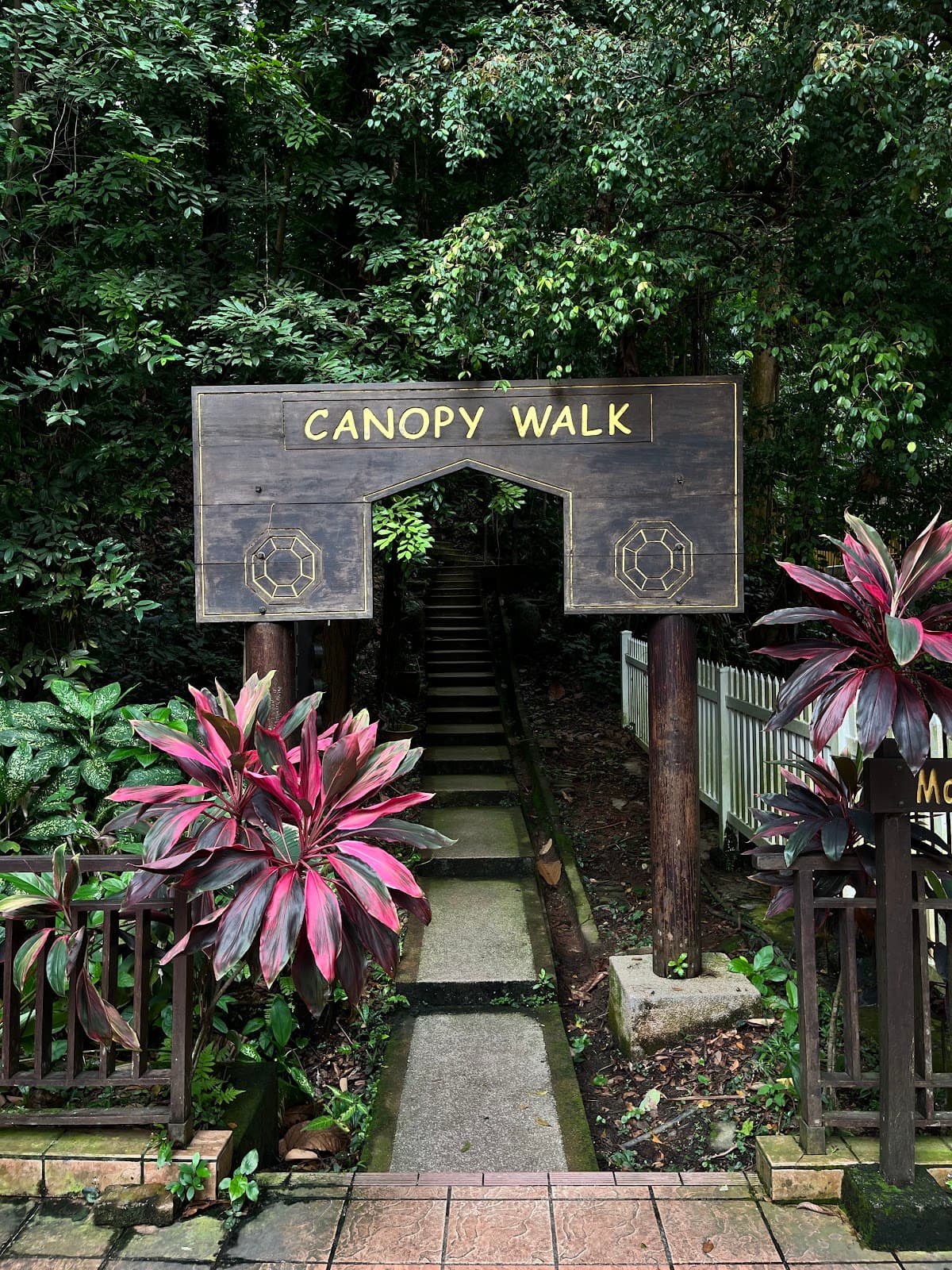 KL Forest Eco Park (Bukit Nanas) Kuala Lumpur - Image 1