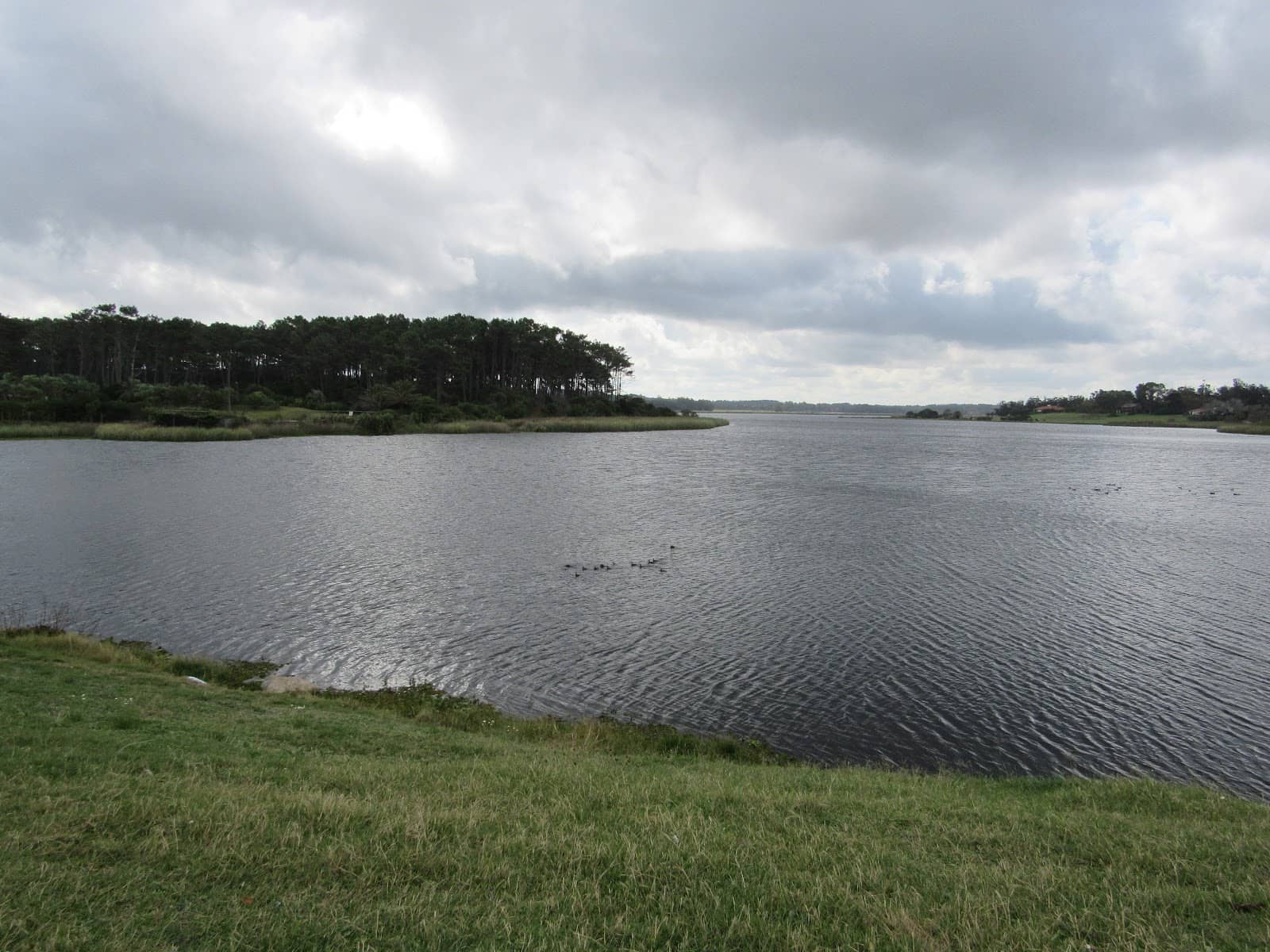 Peaceful Surroundings