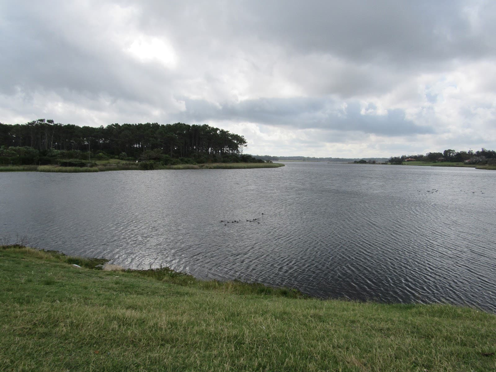 Laguna del Diario - Image 1