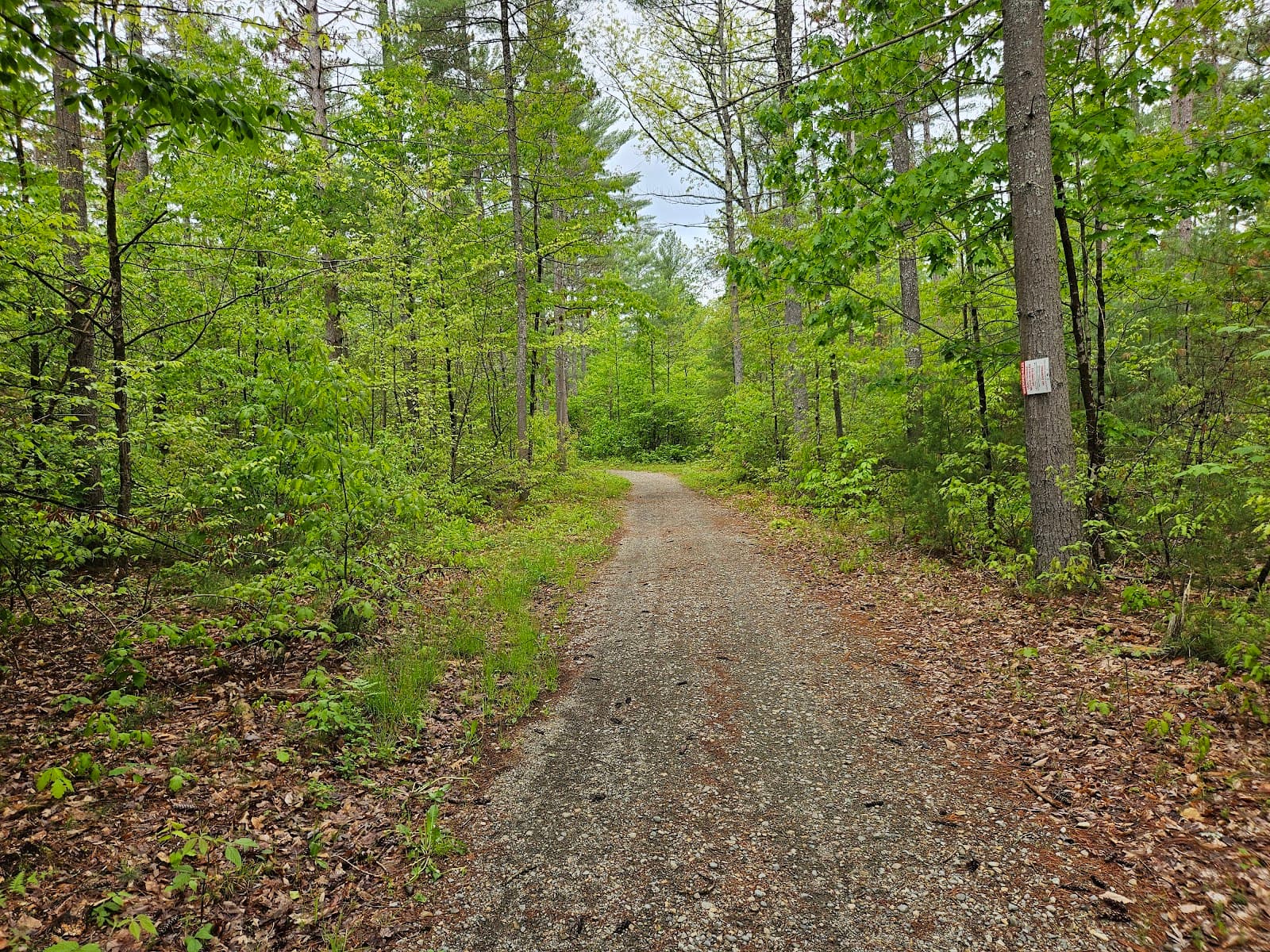 Halfway Brook Trail - Image 1