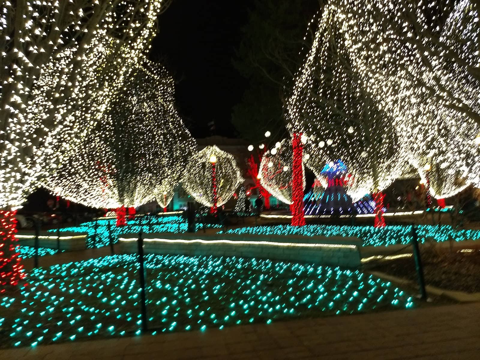 Santa Photos & Workshop