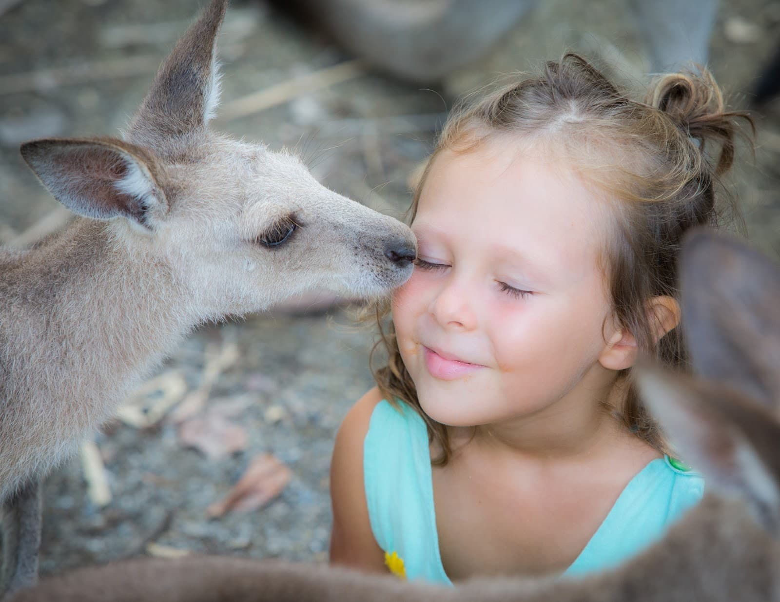 Wildlife Habitat Port Douglas - Image 1