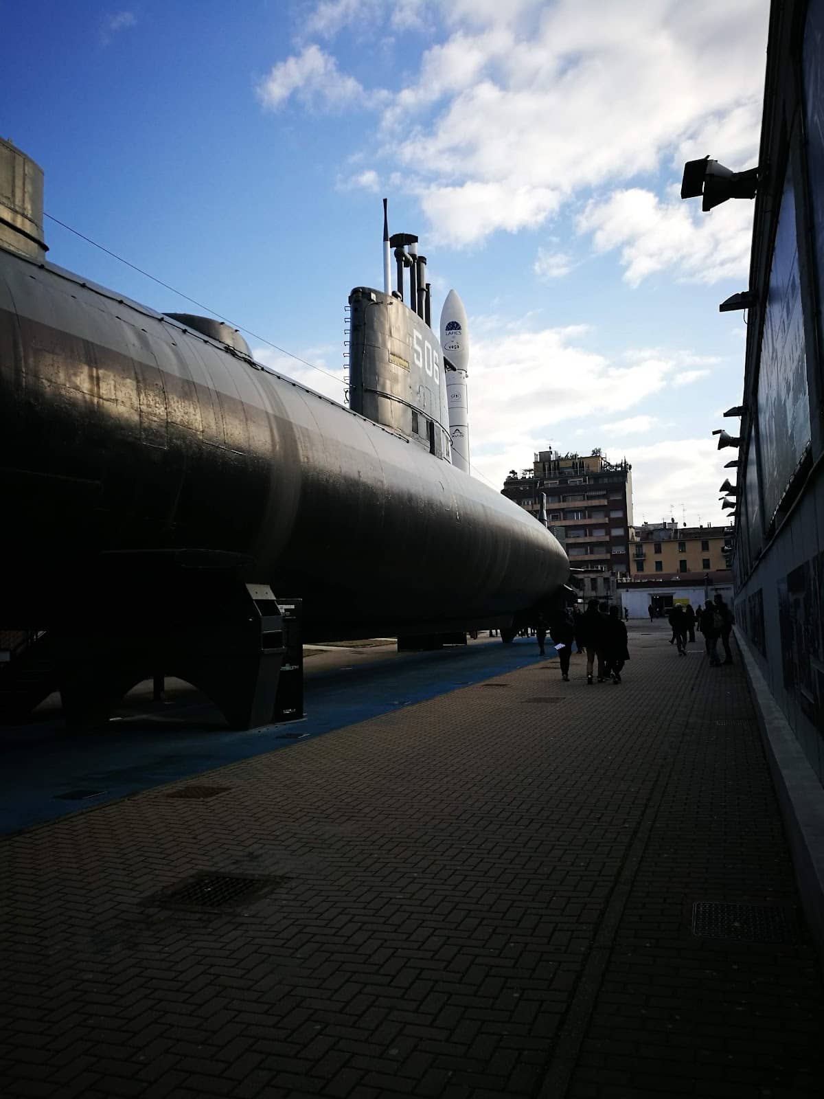 Blooming Spring Scenery