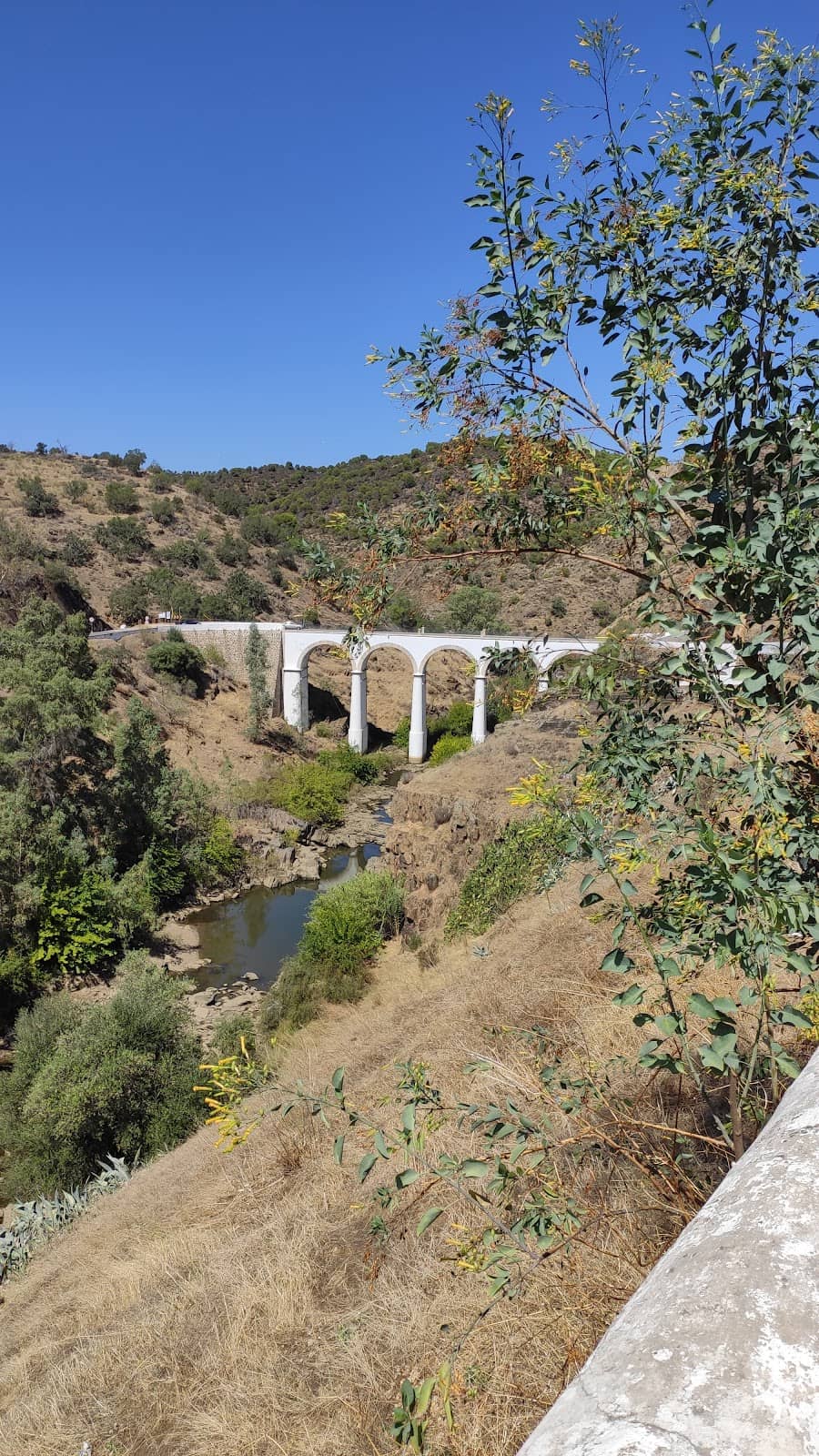 Panoramic View of Mosaics