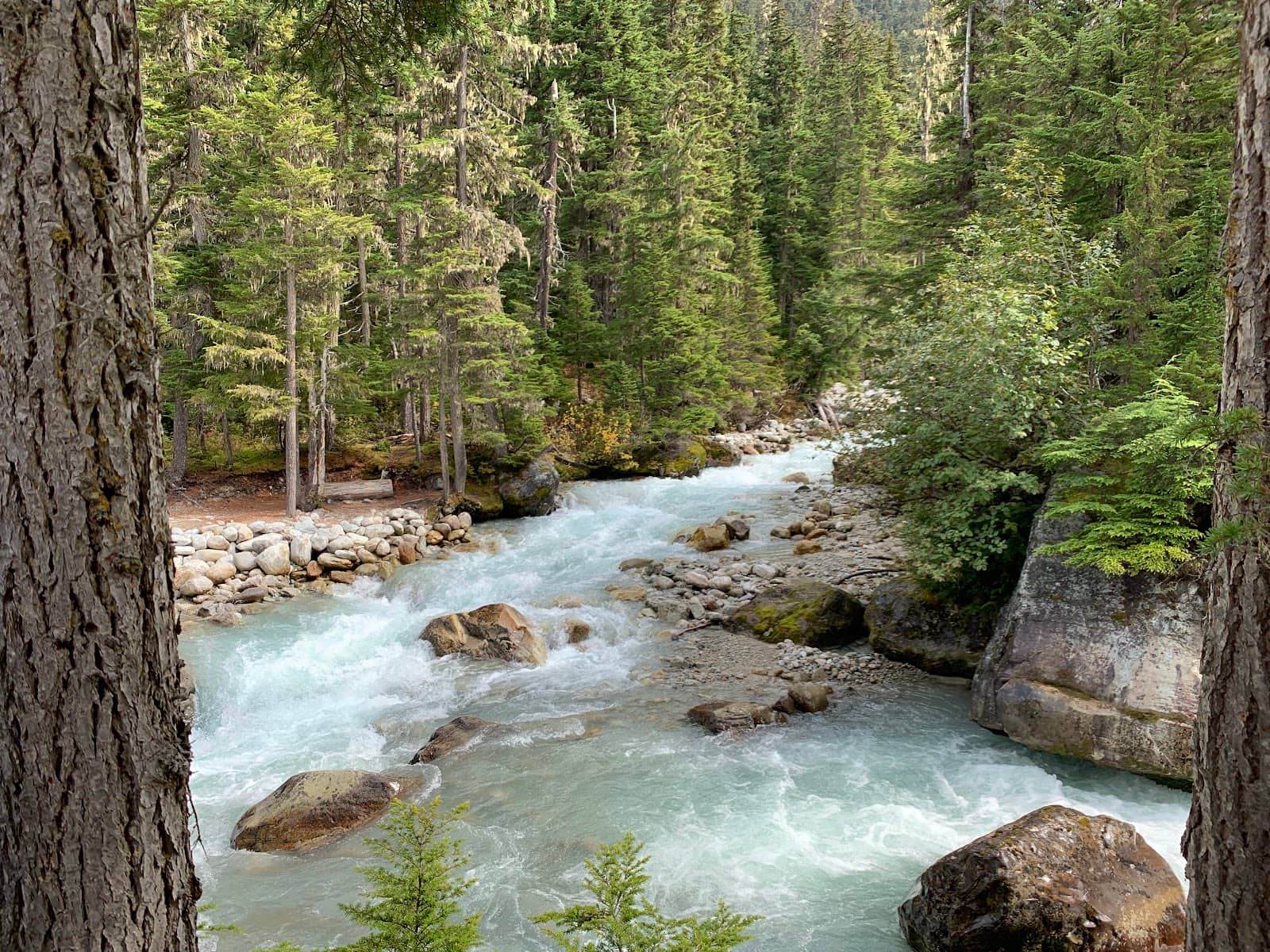 Glacier Crest Trail