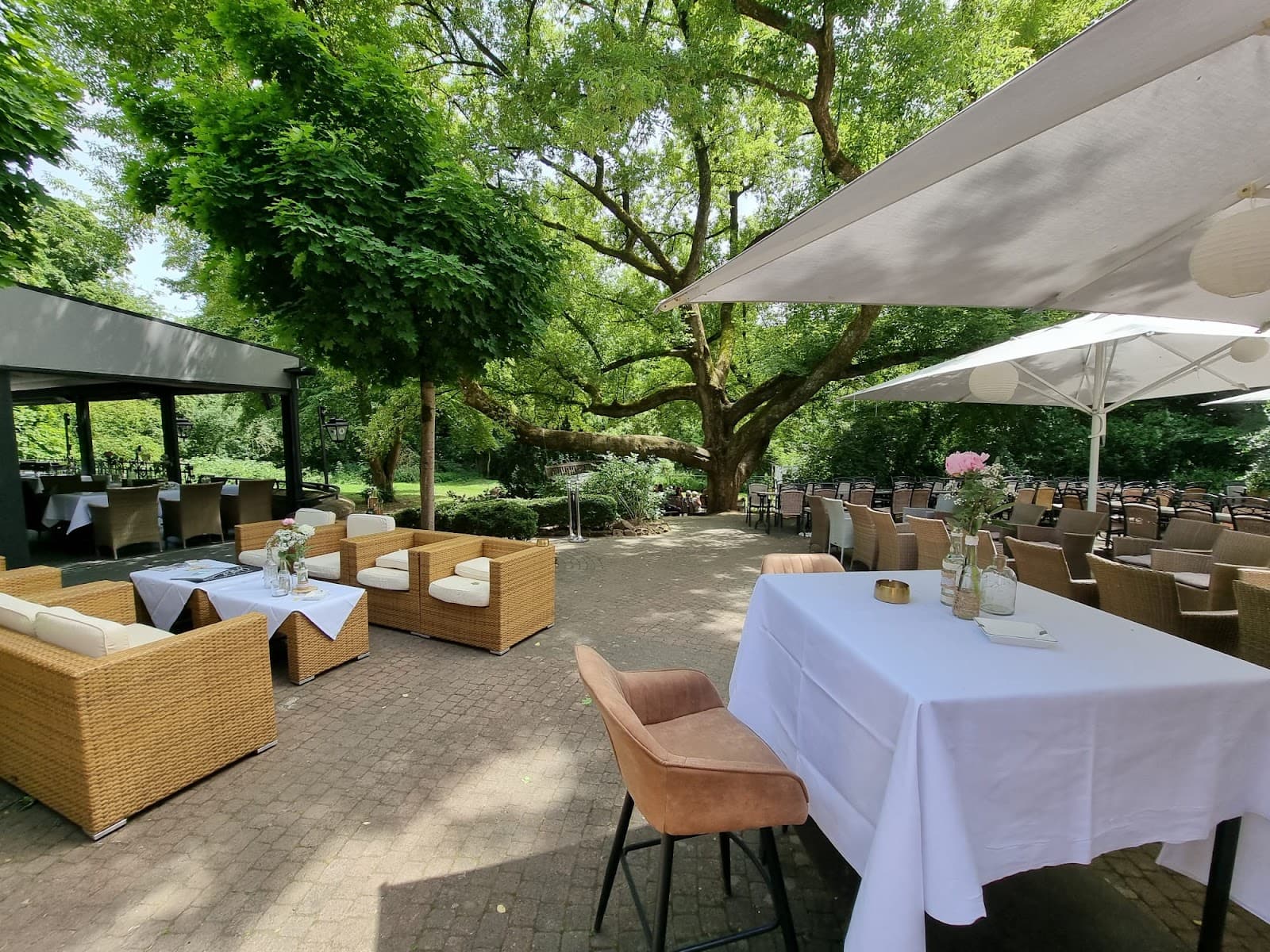 Oberwaldhaus & Steinbrücker Teich - Image 1