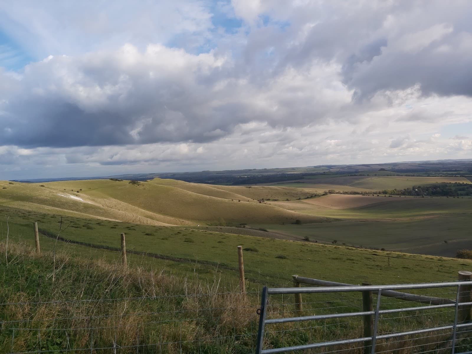 The Ridgeway (Marlborough Downs) - Image 1