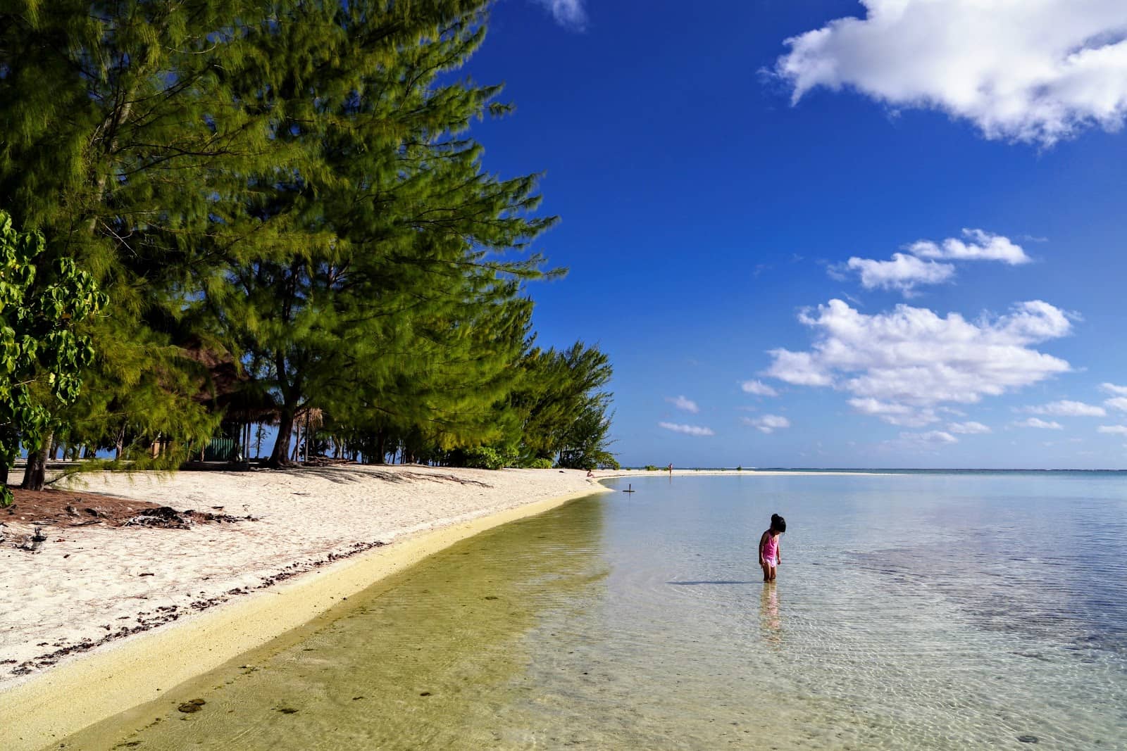 Snorkeling Adventures