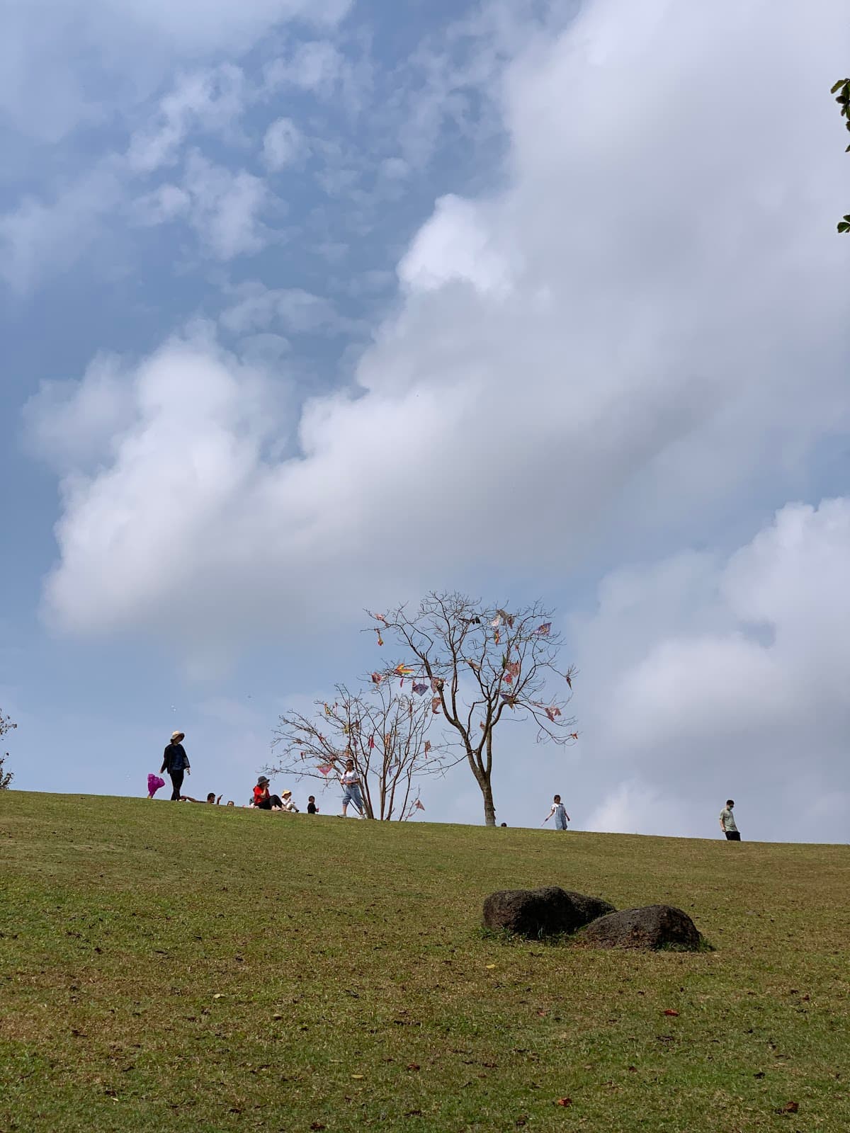Meishe River National Wetland Park - Image 1