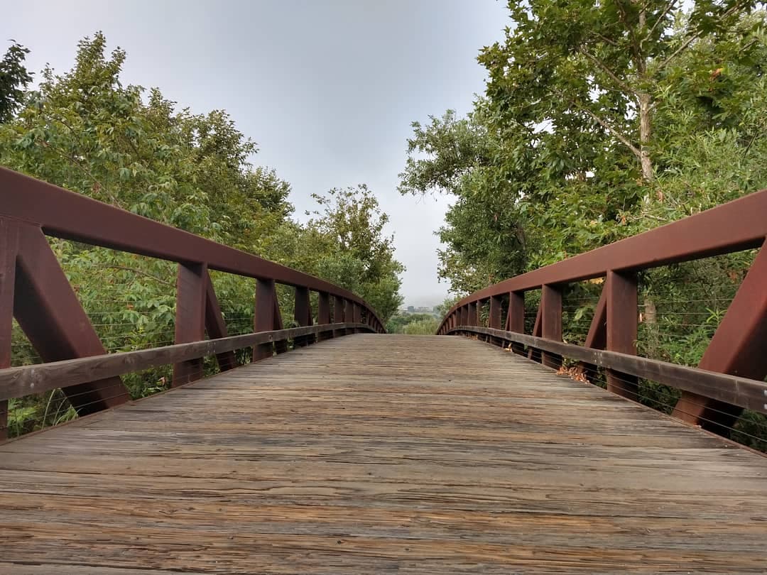 Shady Canyon Trail - Image 1