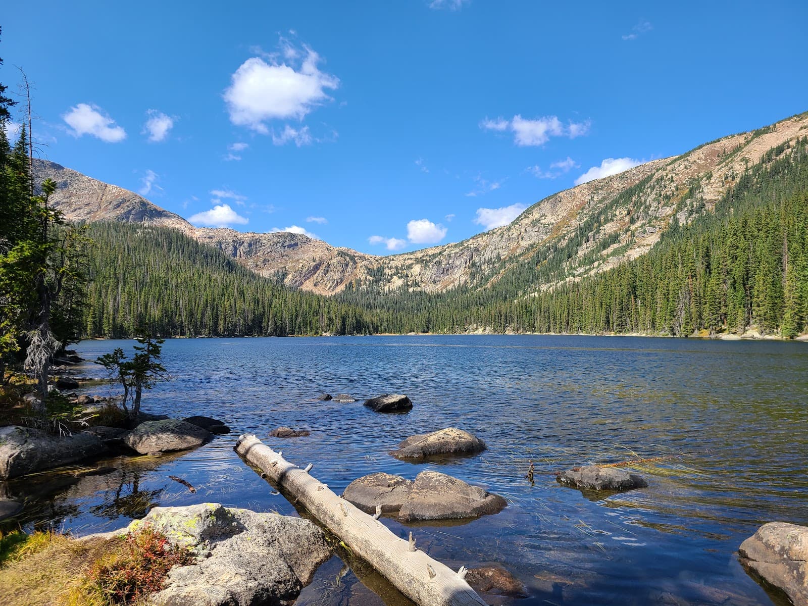 Timberline Lake Trail - Image 1