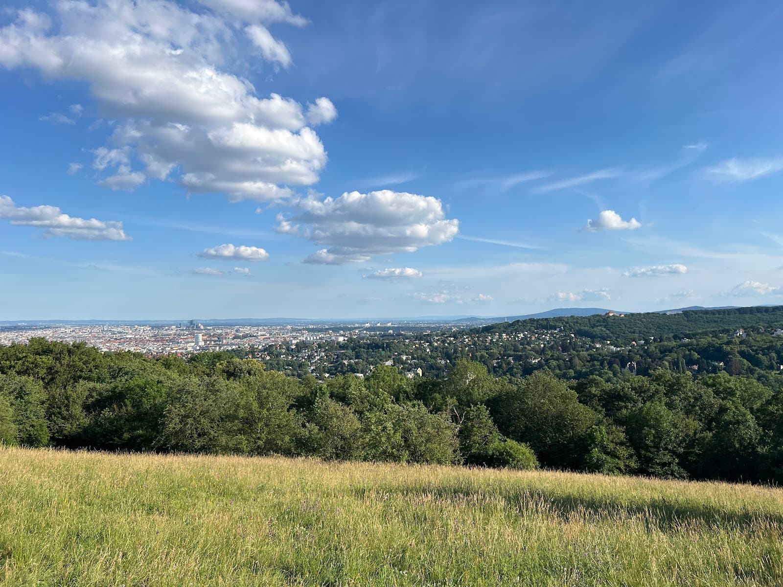 Schafbergwiese - Image 1