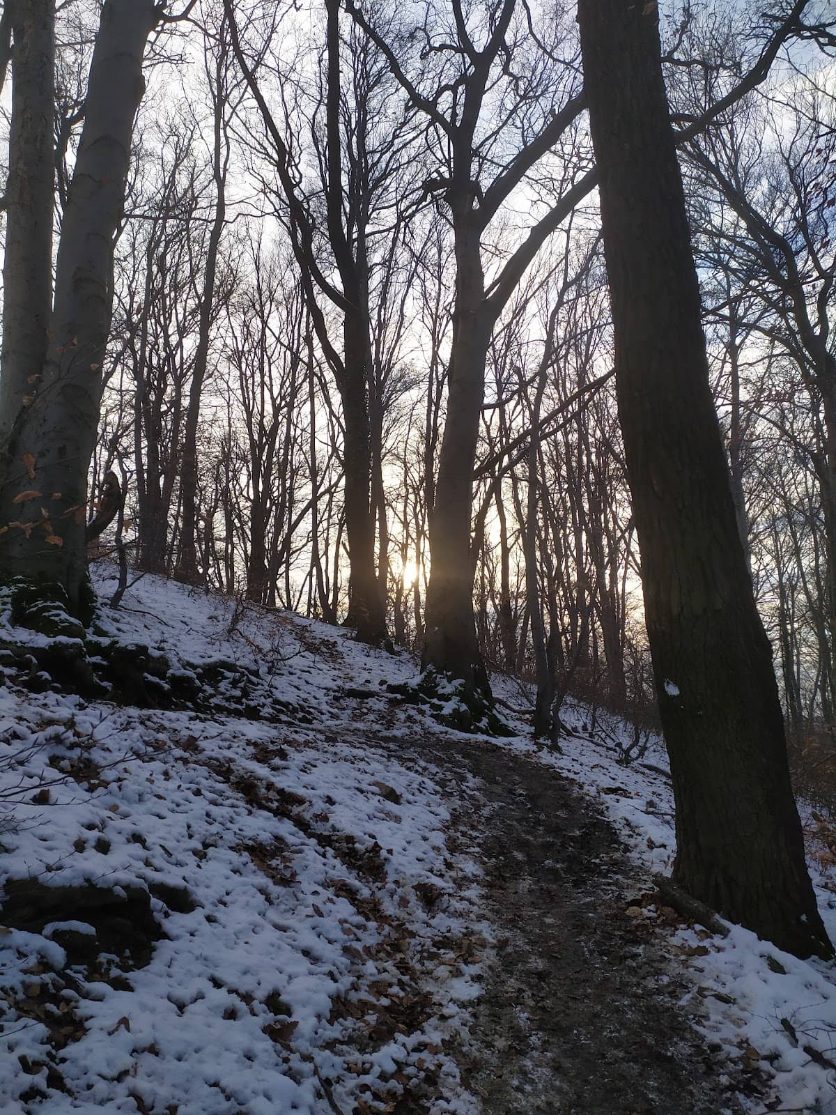 Vertical photo