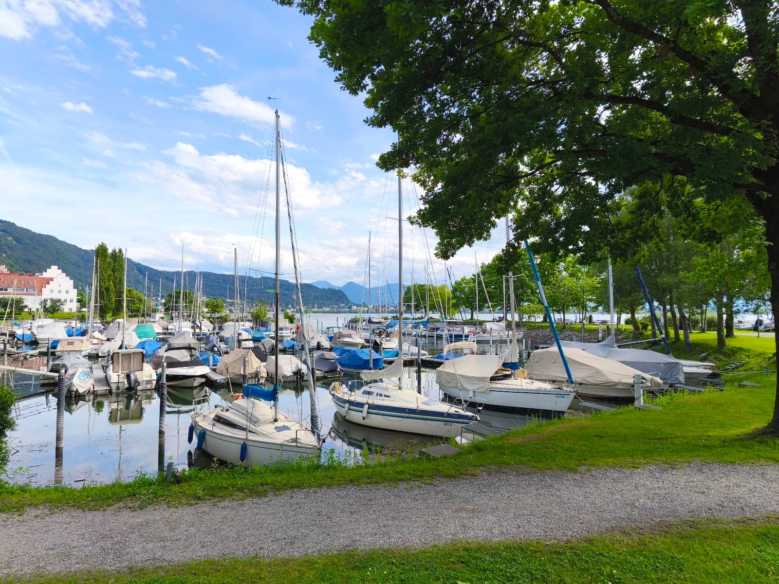 Lake Constance Views