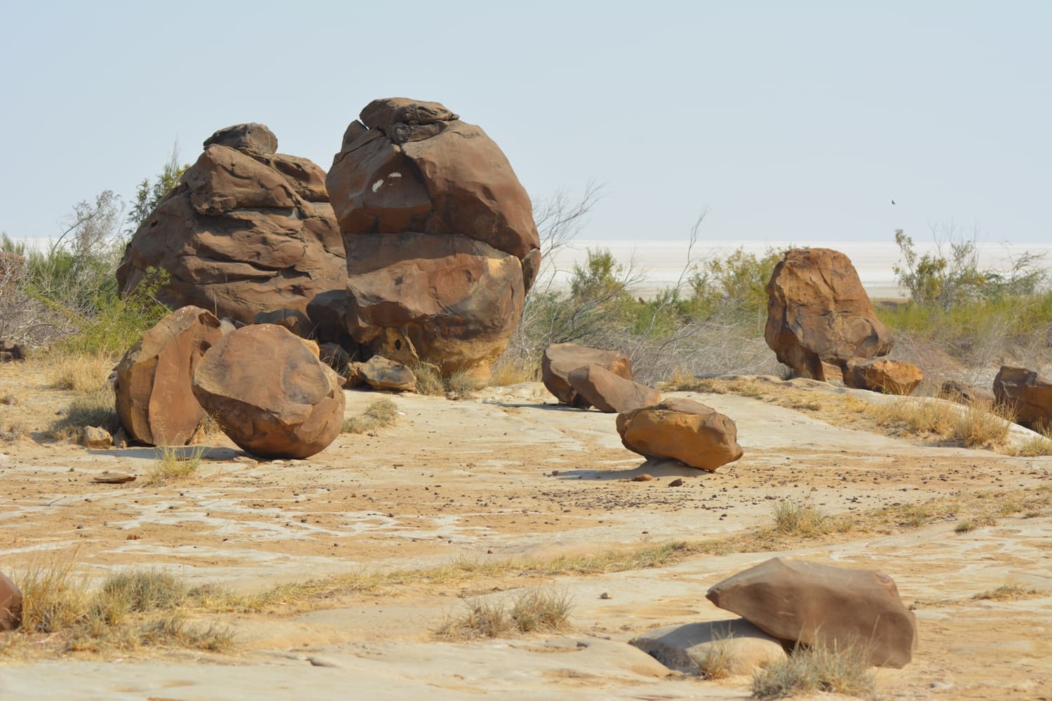 Khadir Bet Fossil Park - Image 1