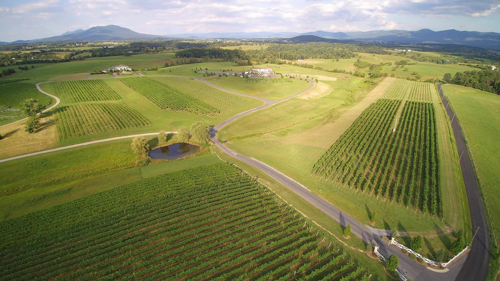 CrossKeys Vineyards - Image 1