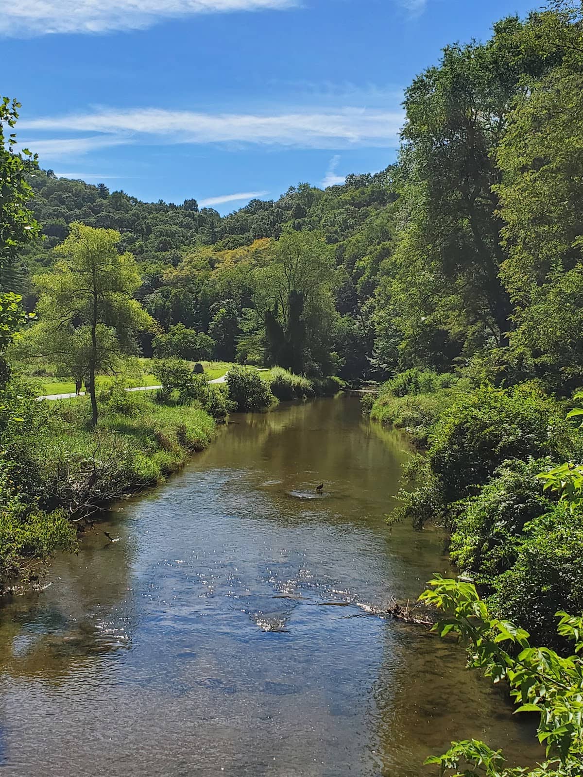 New Bridges & Covered Bridge