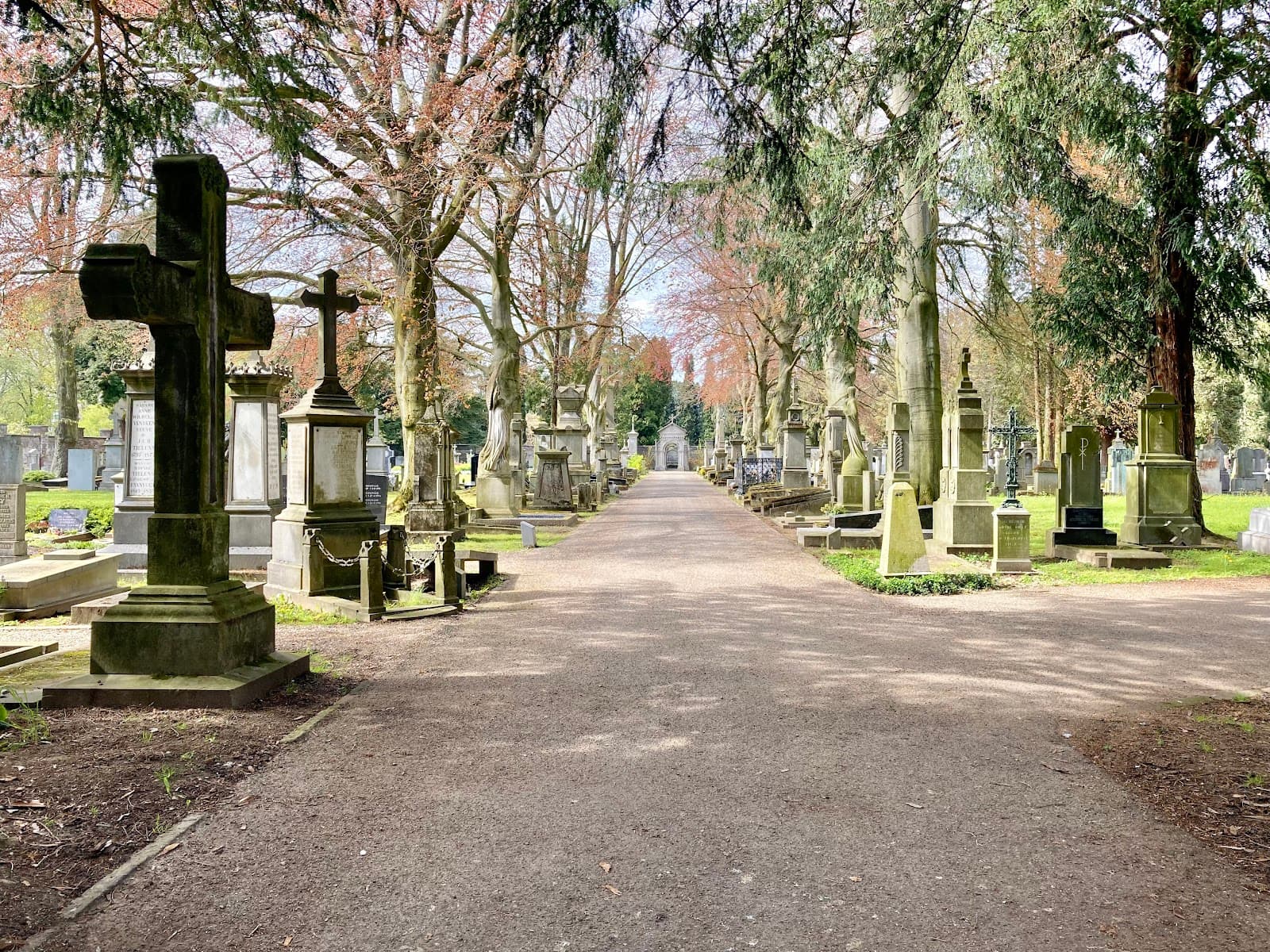 Tongerseweg Cemetery - Image 1
