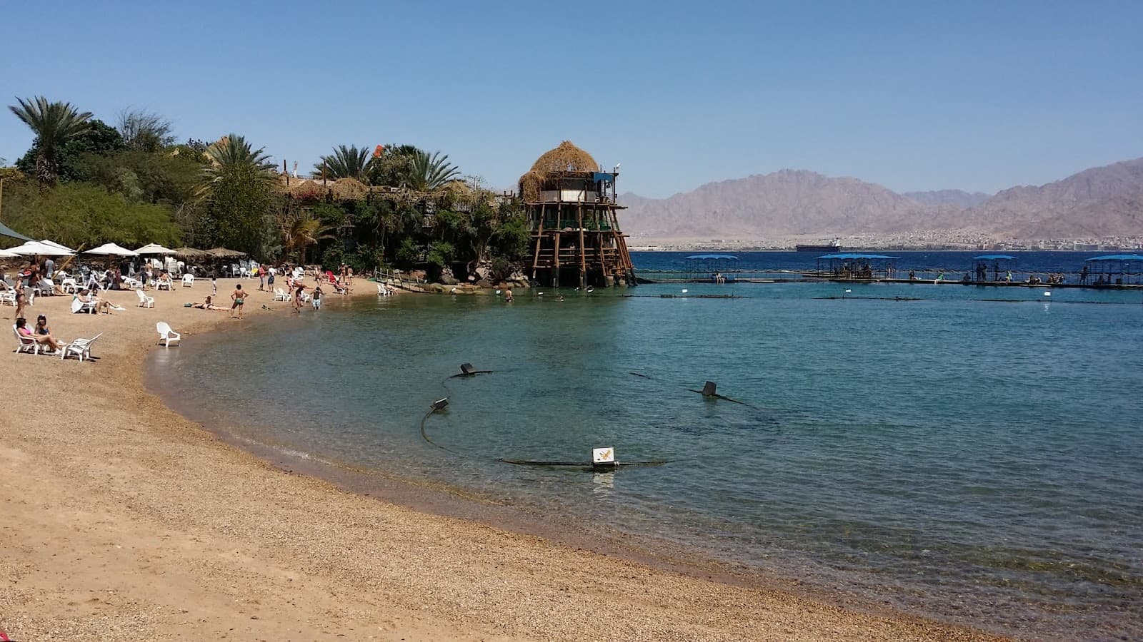 Dolphin Reef - Image 1