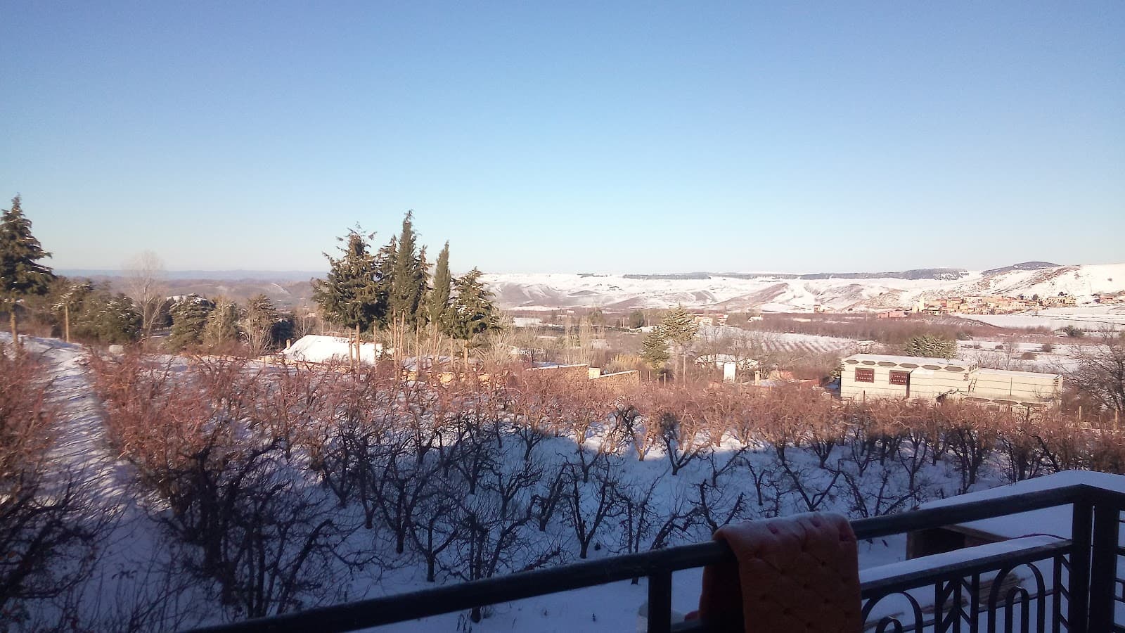 Cedar Forest Azrou - Image 1