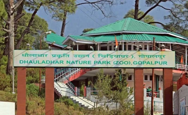 Children's Play Area