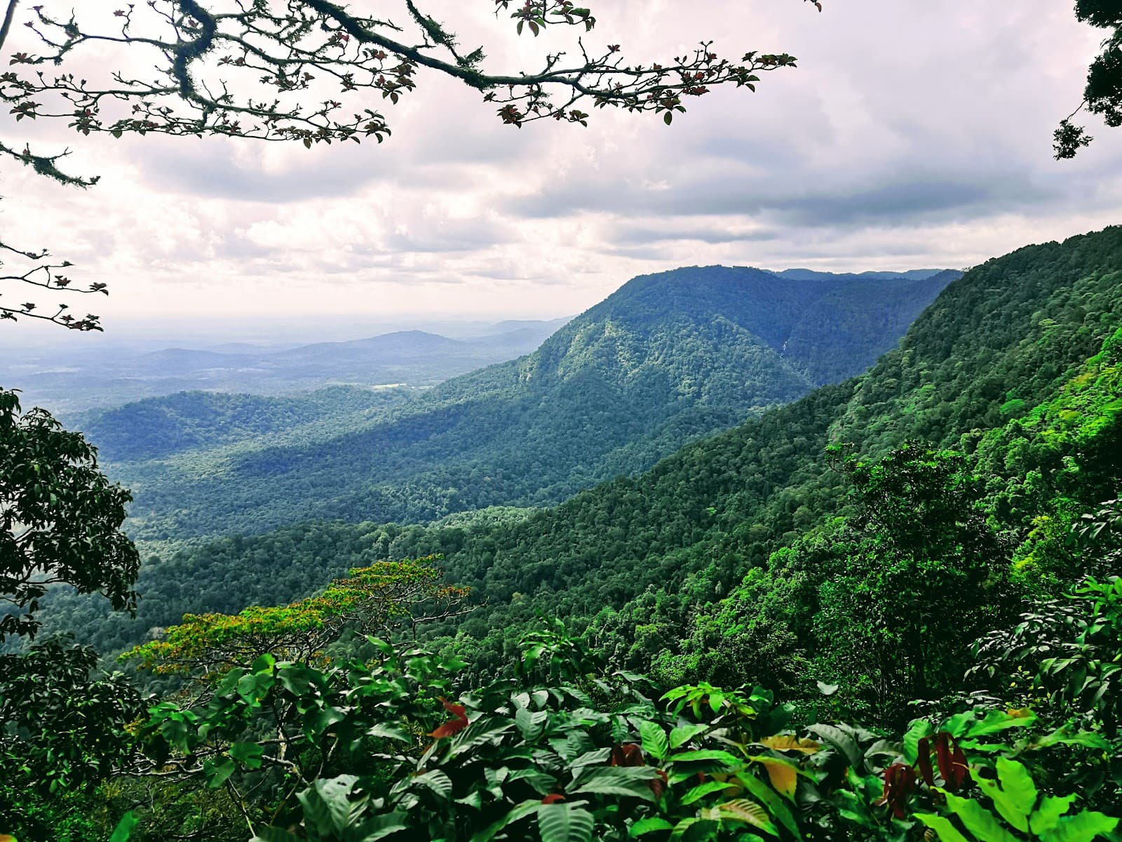 Agumbe Sunset View Point - Image 1
