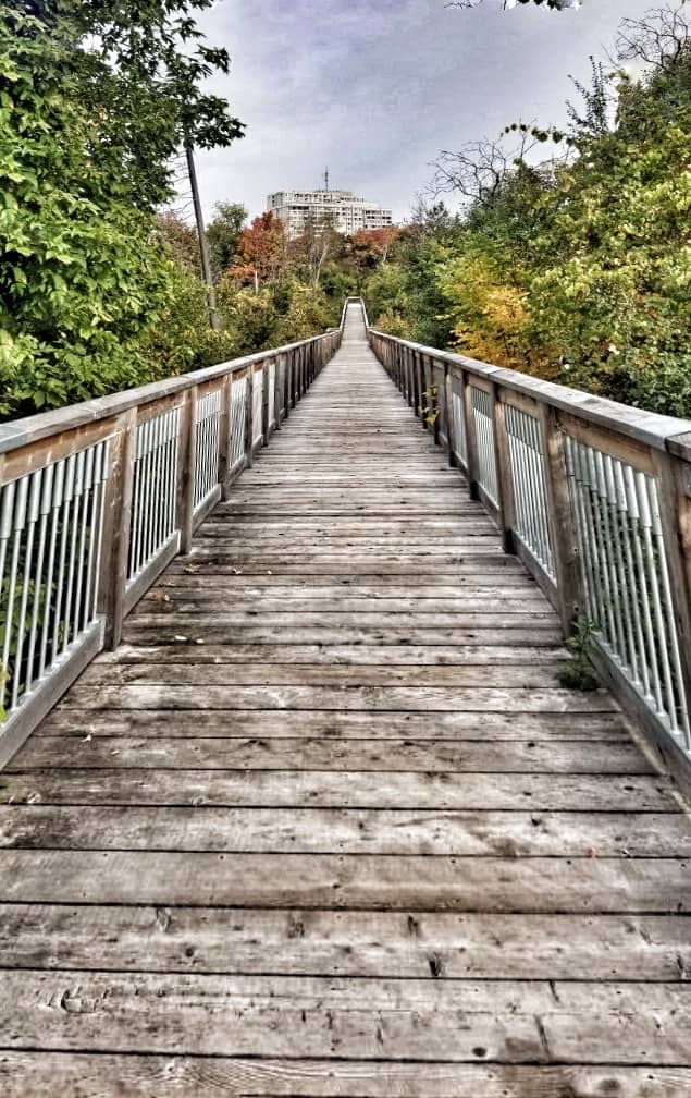 Vertical photo