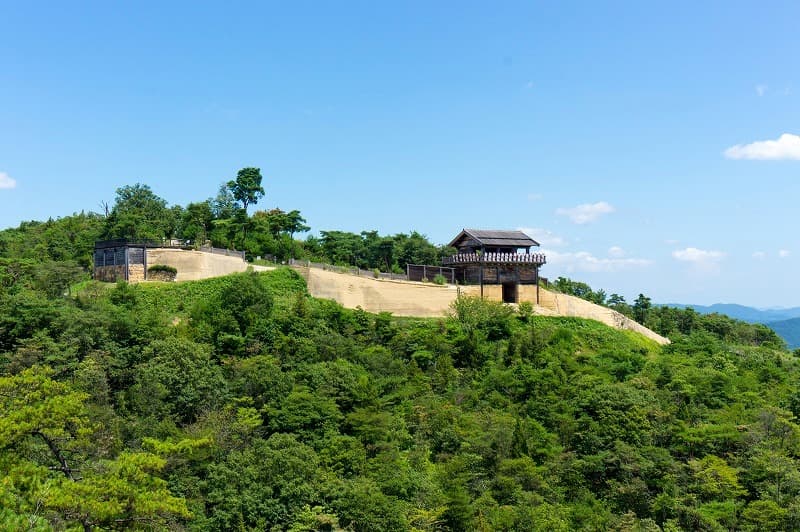 Kinojo Castle - Image 1