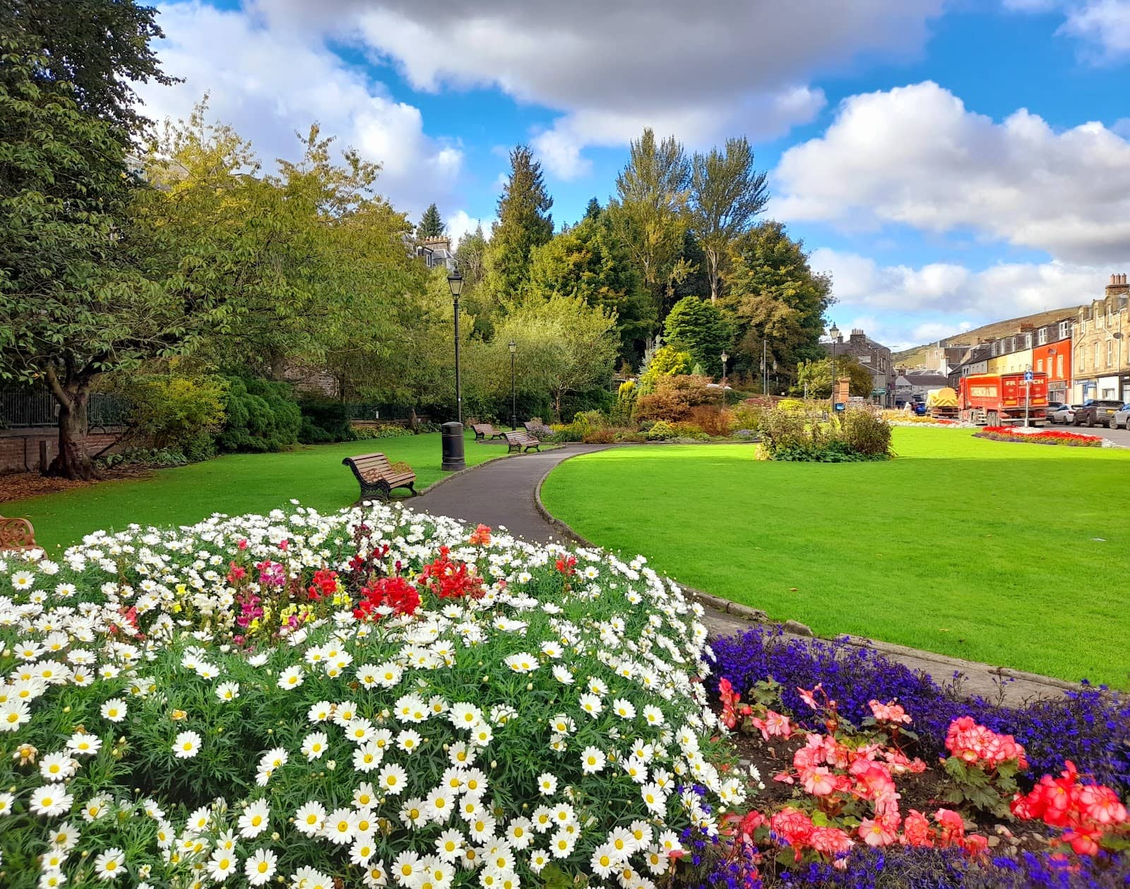 Relaxing Green Oasis