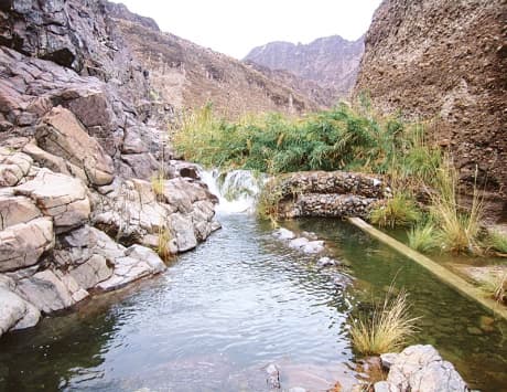 Wadi Wurayah National Park - Image 1