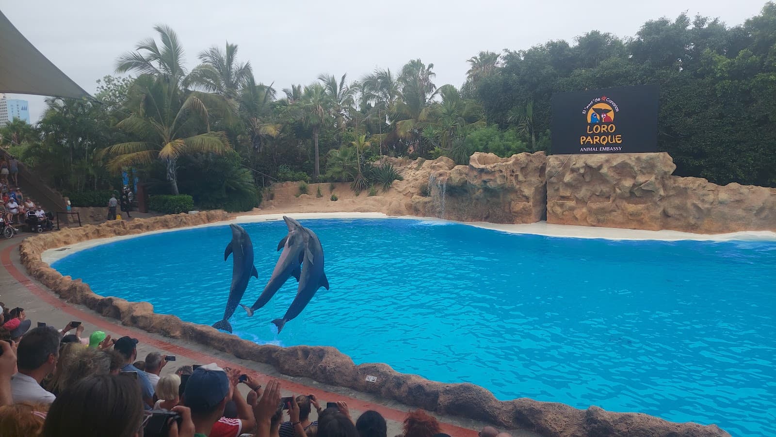 Callao Salvaje Tenerife - Image 1