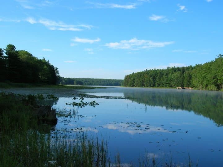 Black Moshannon State Park - Image 1